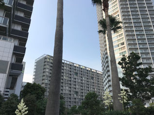 シンプルなカラダづくりレッスン② in Tokyo