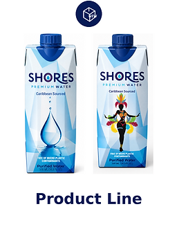 línea_producto_sin_sublínea.png