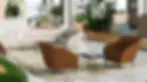 09_organix_cover.jpg.webp