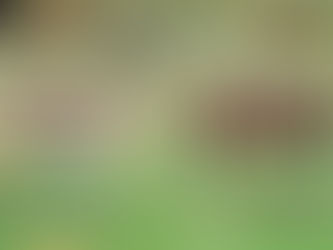 Fim de semana negativo para as equipas de Juvenis e Juniores