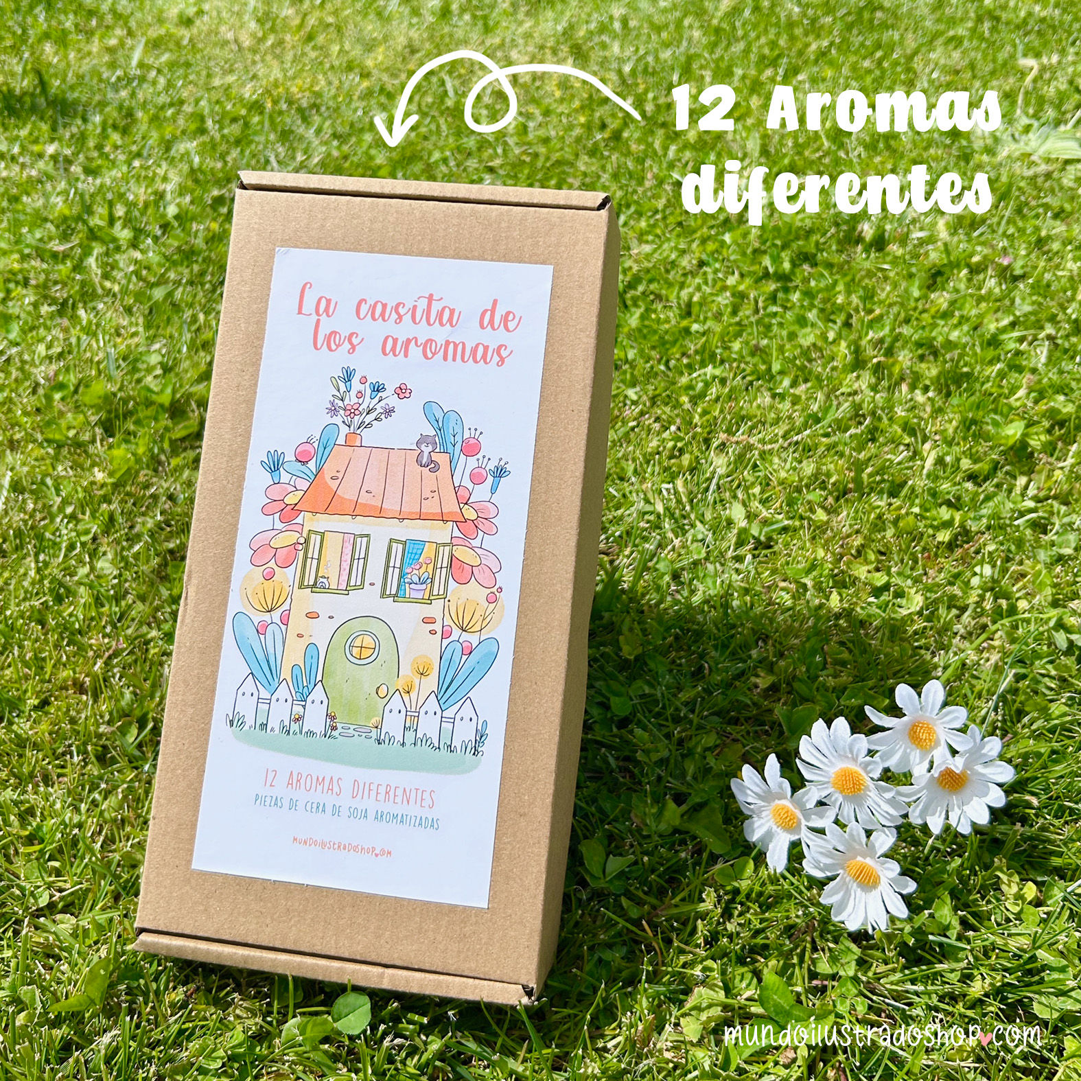 La casita de los aromas (mix de waxmelts)