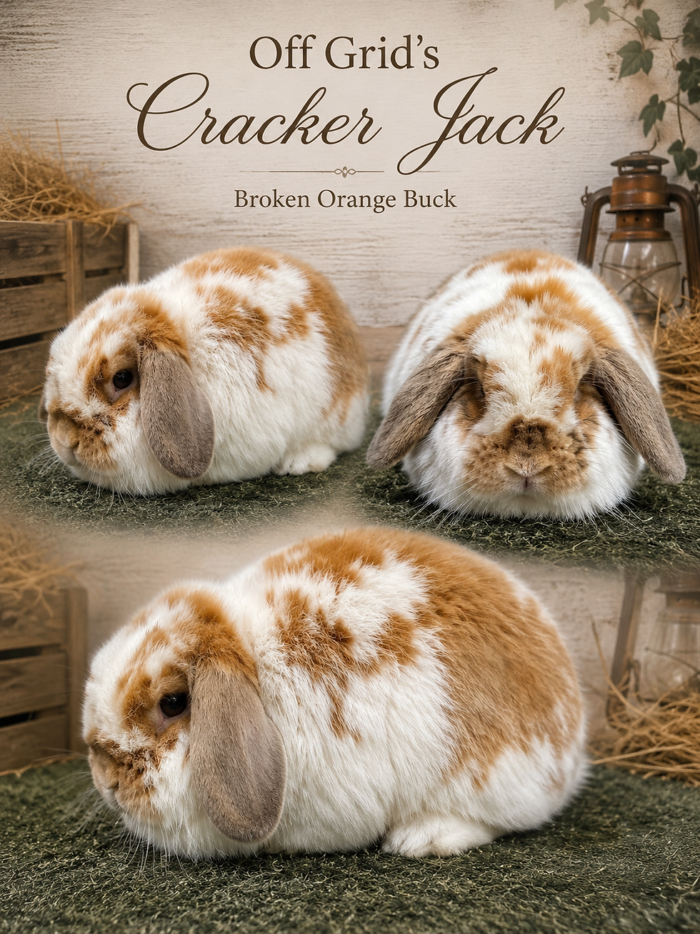 Cracker Jack