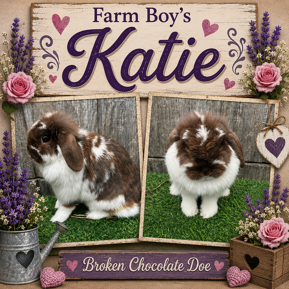 Katie