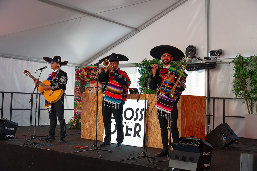 Crossover Summer X Falicon 