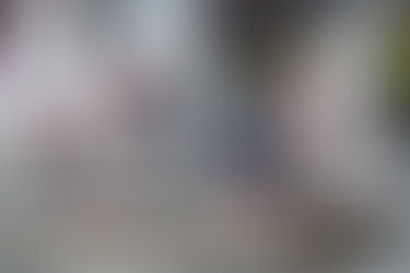 April 2025 Newsletter