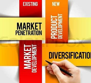 5 Benefits of Using a Professional Firm to Develop New Markets
