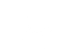 Tokyo Lift-Off Film Festival 2019 - Onli