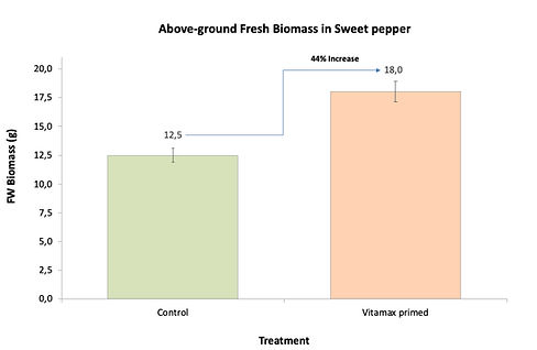 4. BIO Graph XL.jpg