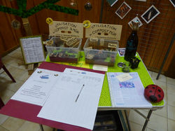 P1000108