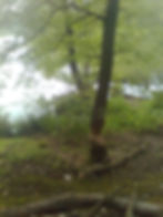 Szlaki kajakowe, piesze, rowerowe