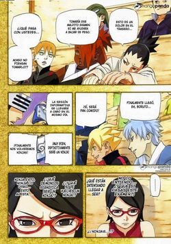 pag 4.png