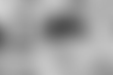 « L’ARRIVAGE DES COQUILLAGES »