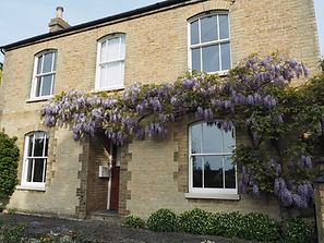 Ultimate Rose - Wisteria (high res) (2).jpg