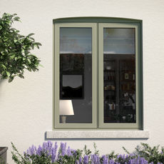 Green window and Olive tree