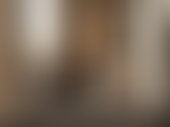 Aluminium vs Timber: Cost Comparison of Windows