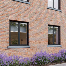 External wall with two brown windows and lavender