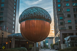 City of Oaks Acorn