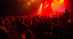 COCK ROBIN - CCM Jean Moulin ( 87)