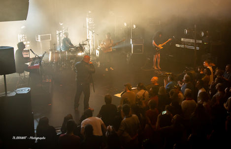 Back to Queen Tribute