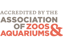 Accredited by the Association of Zoos & Aquariums