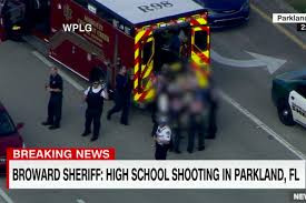Florida High School Shooting