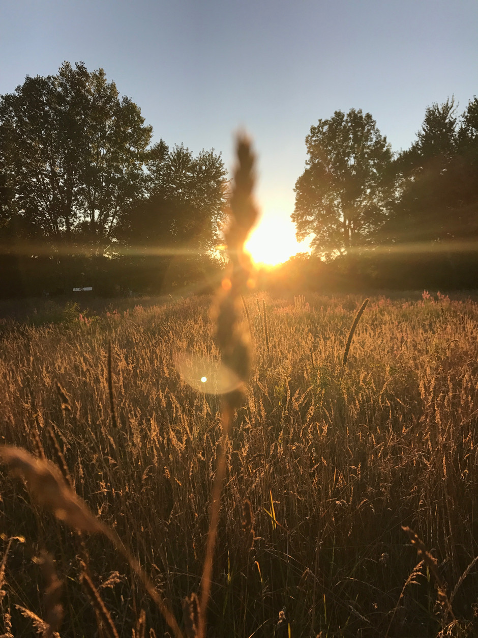 Warmed by the Same Sun