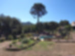 piscine entree