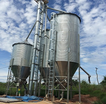 Maxon silos elevados