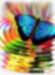 blue-morpho-butterfly-378559_1280.jpg