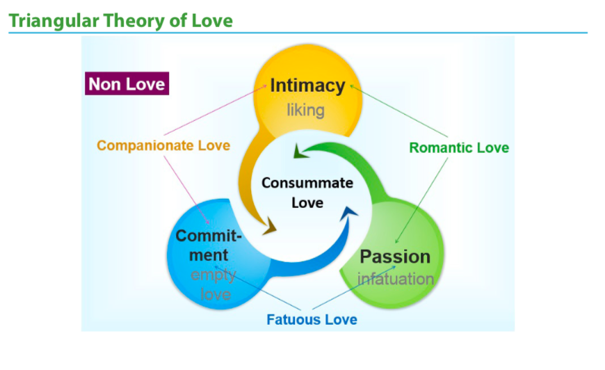 Scientific Guide To Human Flourishing - CAPP