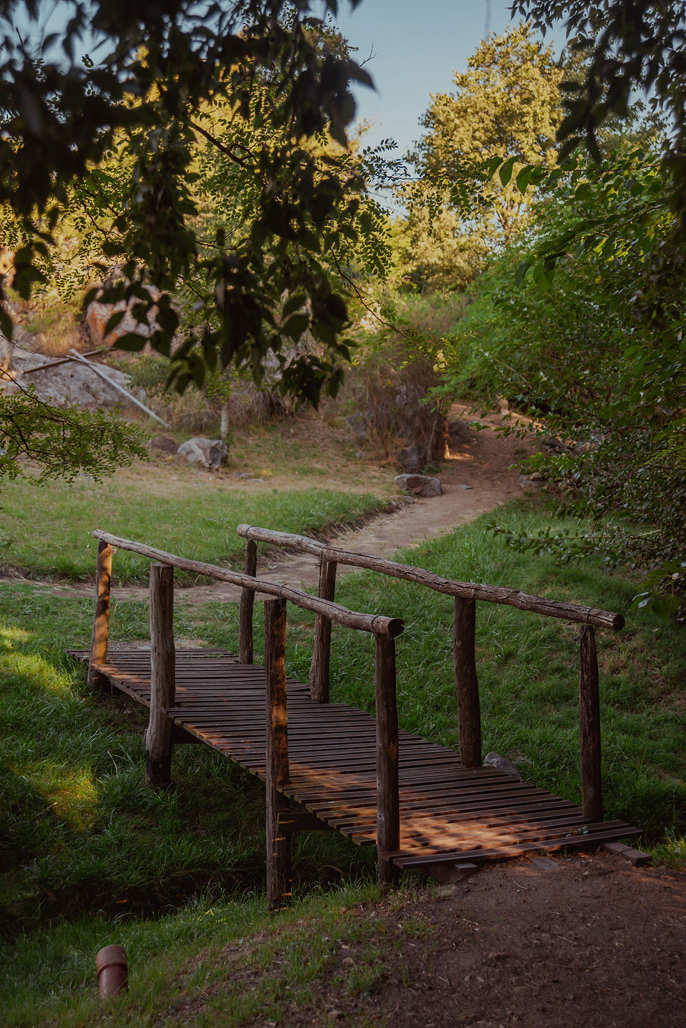 Posta natural_-22 (3).jpg