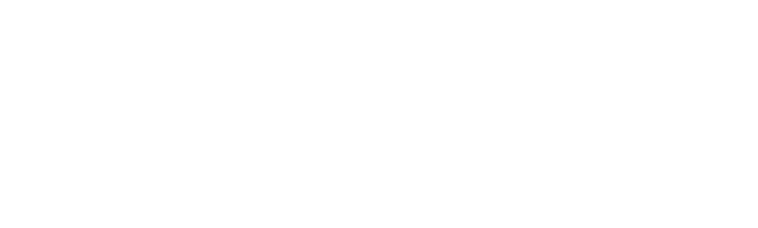 motopex blanc.png