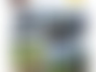 La balade en région Calestienne du 28 novembre 2025