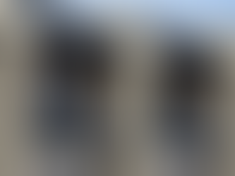 Residential houses in Auckland captured from a street-level view.