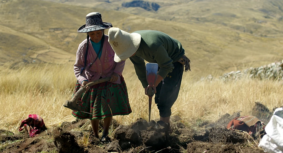 "Kinra" (2023). Fuente: Cinencuentro