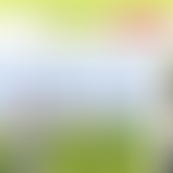 幻の高来そばWEBサイト