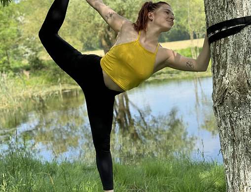 Wellness Initiatives