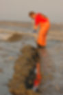 Digging a clam net trench