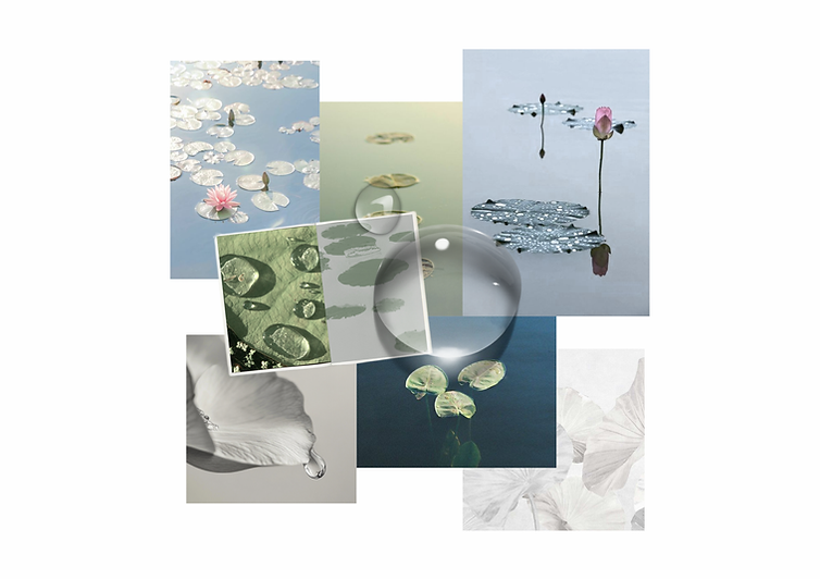 Lively lotus inspiration