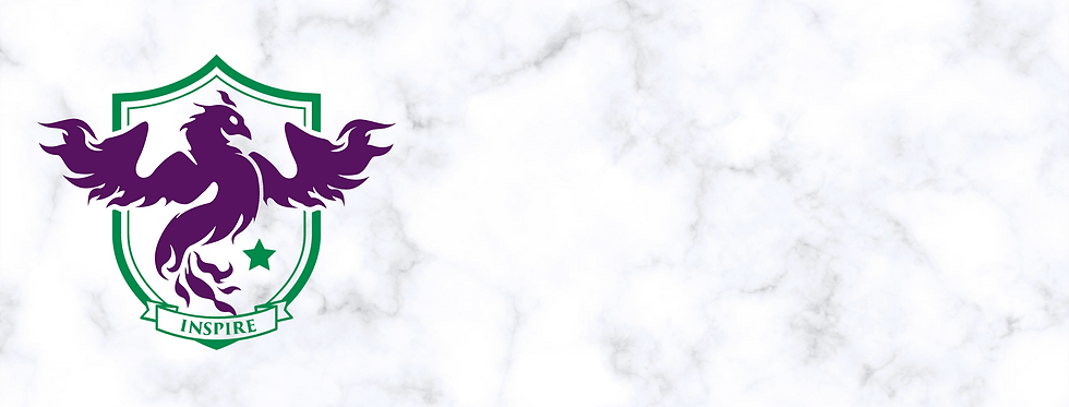 Novus FB Banner (2).png