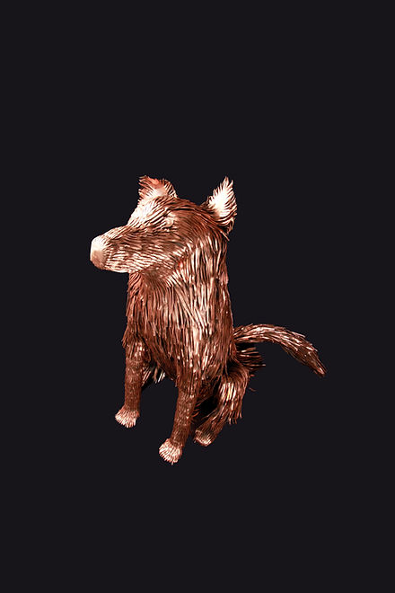 A._MG_5969 - black background.jpg