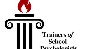 Meiki Chan Received Graduate Student Scholarship From TSP