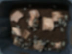 Thumbnail: Beetle Substrate