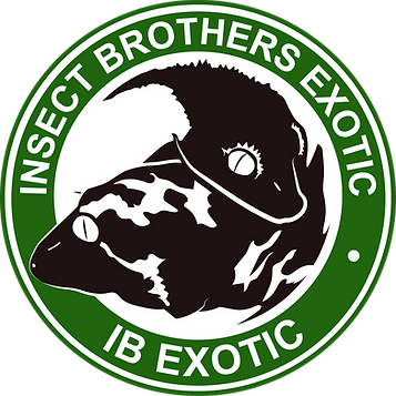 Asset 10.png