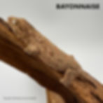 Thumbnail: Local Specific Island Leachianus Gecko : Starting at
