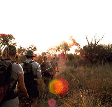 Trainee guides on a bush walk in Botswanan