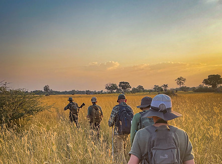 Trails group walking in Okavango Delta Botswana