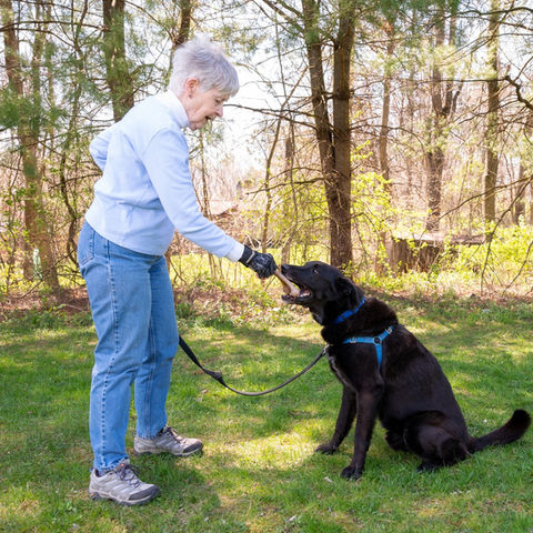 A person leaning forward with their hand out to a large black dog, outside, with trees in the background.