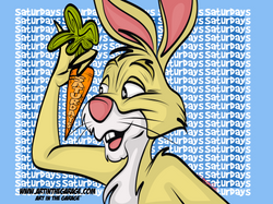 9-24-22 Saturdays Rabbit