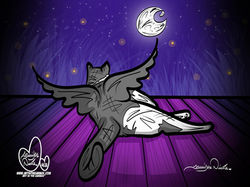 9-13-25 Sweet Bagels 4638